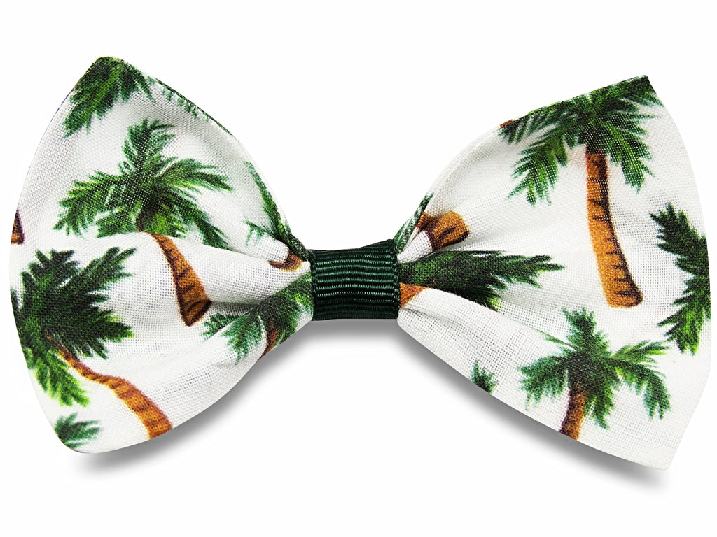 Palm trees Bella bow