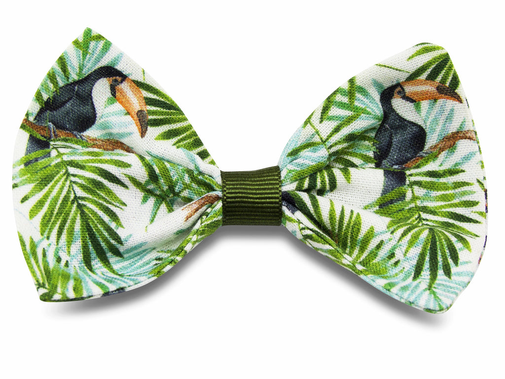 Rainforest toucans Bella bow