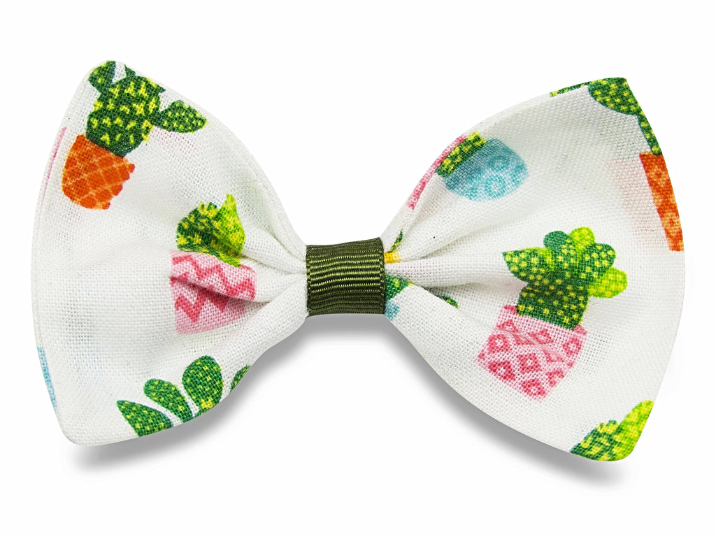 Cactus Bella bow